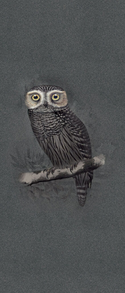 Nesting Room ABK x MOOOI Special Edit Hypnotic Owl 120x280